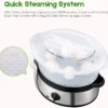 Multifonction SIYO LUX Cuiseur à Vapeur Électrique,  2 paniers 5L  (German Quality)