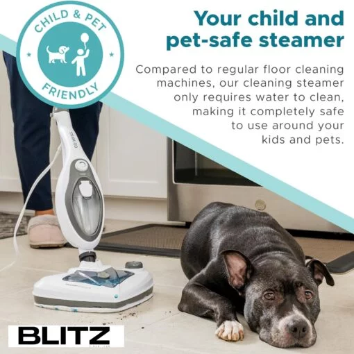 Blitz - Nettoyeur Vapeur 10 En 1 Multifonction 1300W Avec 10 Accessoires Pour Tous les Sols ,tapis, meuble et cuisine  (USA Quality)
